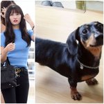 [EXO] 요즘 <b>여돌들</b> 현실