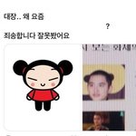 [드루와] 톤 궁예 해조
