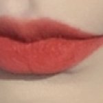 얘들아 이 립 <b>색</b>이랑 비슷한 틴트나 <b>립스틱</b>있냐