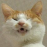 [댓글부탁해] 아 진짜 공감성<b>수치</b> 때문에 미치겟네