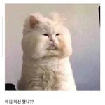 [드루와] 돈 아껴야되는데