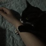[드루와] <b>거양</b>이가 나 그루밍해준다