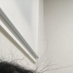 나 머리위애 잔머리<b>개오</b>져 이거어캄