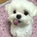 [댓글부탁해] <b>독학</b>재수했더니 사회성 ㅈ망함ㅋㅋㅋ