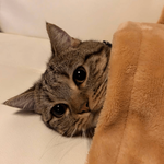 [모두드루와] 극<b>세사</b> 이불 줬더니...