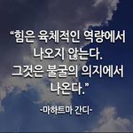 이정도면 악플러 처벌 최소 <b>징역</b> 10년 해도