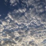 [기분조앙] 나 <b>과체</b>중인데 오늘