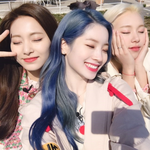 [이것좀봐줘] 제발 올려줘))에스크 고소 팁 알려줄게