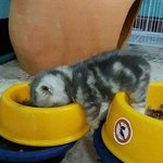 [모두드루와] 삶에 <b>지침</b>...ㅋㅋ