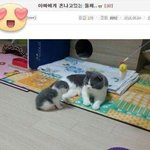 [모두드루와] 아빠한테 혼나는중 ㅠㅠㅠㅠ