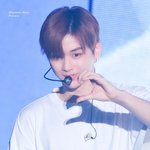 [강다니엘] 2019년을 다섯글자로 표현한다면?