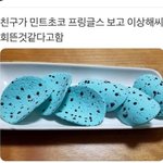 [모두드루와] <b>민트</b>초코 헐