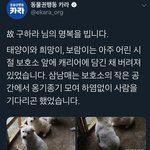 [모두드루와] <b>구하라</b> 이거 좀 봐 ㅠㅠ