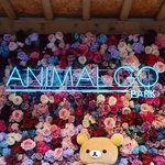 <b>삼성동</b> 애니멀고 파크 다녀왔어요~~