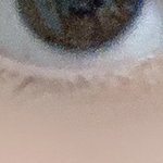 [드루와] 이정도면 <b>삼백</b>안은 아니지않음?