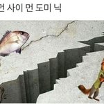 [댓글부탁해] <b>돌판</b> 웃긴 드립 추천 부탁