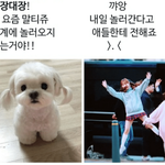 [드루와] 이짤 ㅈㄴ귀여워 미칠거같음