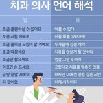 [모두드루와] 치과의사 <b>언어</b>해석