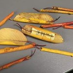 [모두드루와] 빼빼로데이 센스 갑ㅋㅋㅋㅋ