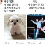 대장 시리즈 귀엽다...