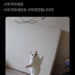[댓글부탁해] 156에47도 보통으로 쳐<b>주니</b>...?