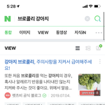 강아지 중에 무슨 브로콜리랑 <b>비슷</b>한