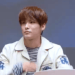 팬싸에서 팬이 넘어오지 않을때 아이돌들의 행동