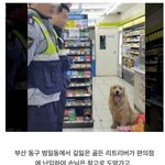 [모두드루와] 편의점에 <b>난입</b>함 ㅠㅠㅠㅠㅠ