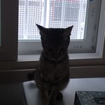 <b>실루</b>엣 왜이래 ㅋㅋㅋㅋㅋ