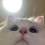 [조언부탁해] <b>한문</b> 수행인데 걍 잘까