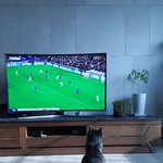 축구에 빠진<b>후추</b>