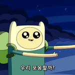 길고양이 <b>사료</b>배식