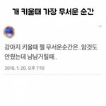 [댓글부탁해] 개 키울때 가장 무서운 <b>순간</b>
