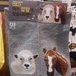 [모두드루와] <b>이양</b>말사줘