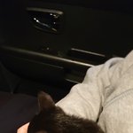 [꼭봐주세요] 길냥이에게 <b>간택</b>당했어요