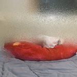 고구마 <b>쿠션</b> 샀는데