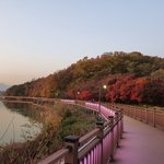 이거 우리집 옆 백운호<b>수야</b>