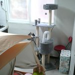 [고양이] [<b>애용</b>X삐용]사이좋은 우리아깽이들