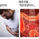 아이돌 겨울왕국 시리즈도 나옴ㅋㅋㅋ