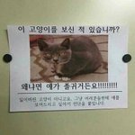 [모두드루와] 고양이 잃어버려서 전단지 <b>뿌림</b>
