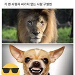 [모두드루와] 기센사람과 4가지 없는 사람 구별하기