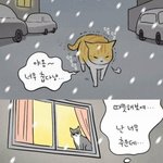 [댓글부탁해] 길고<b>영이</b>들 진짜 한심함