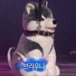 얘네 <b>생방</b>으로 본사람?ㅋㅋㅋㅋ