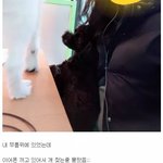[모두드루와] 이 <b>썰</b> 조눗 ㅋㅋㅋㅋㅋㅋㅋ