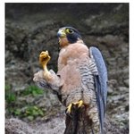 [모두드루와] 멋있다