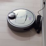 [드루와] 얘 <b>개띠</b>꺼운데 어쩔;?