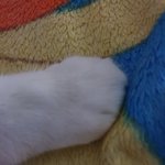 다<b>롱이</b>^^