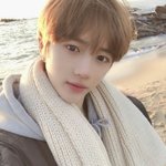 [댓글부탁해] 나만 지금 인스타 이상하냐