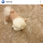 [댓글부탁해] 성시경 <b>인별</b> ㅋㅋㅋㅋ