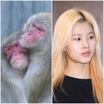 [EXO] 얘네도 이제 너무 <b>칙칙</b>하긴 하지만